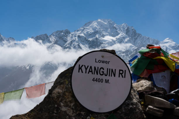 Langtang Valley Trek 