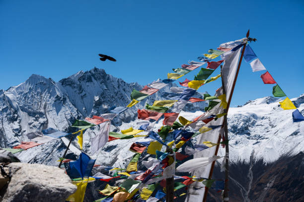 Tamang Heritage Trek 